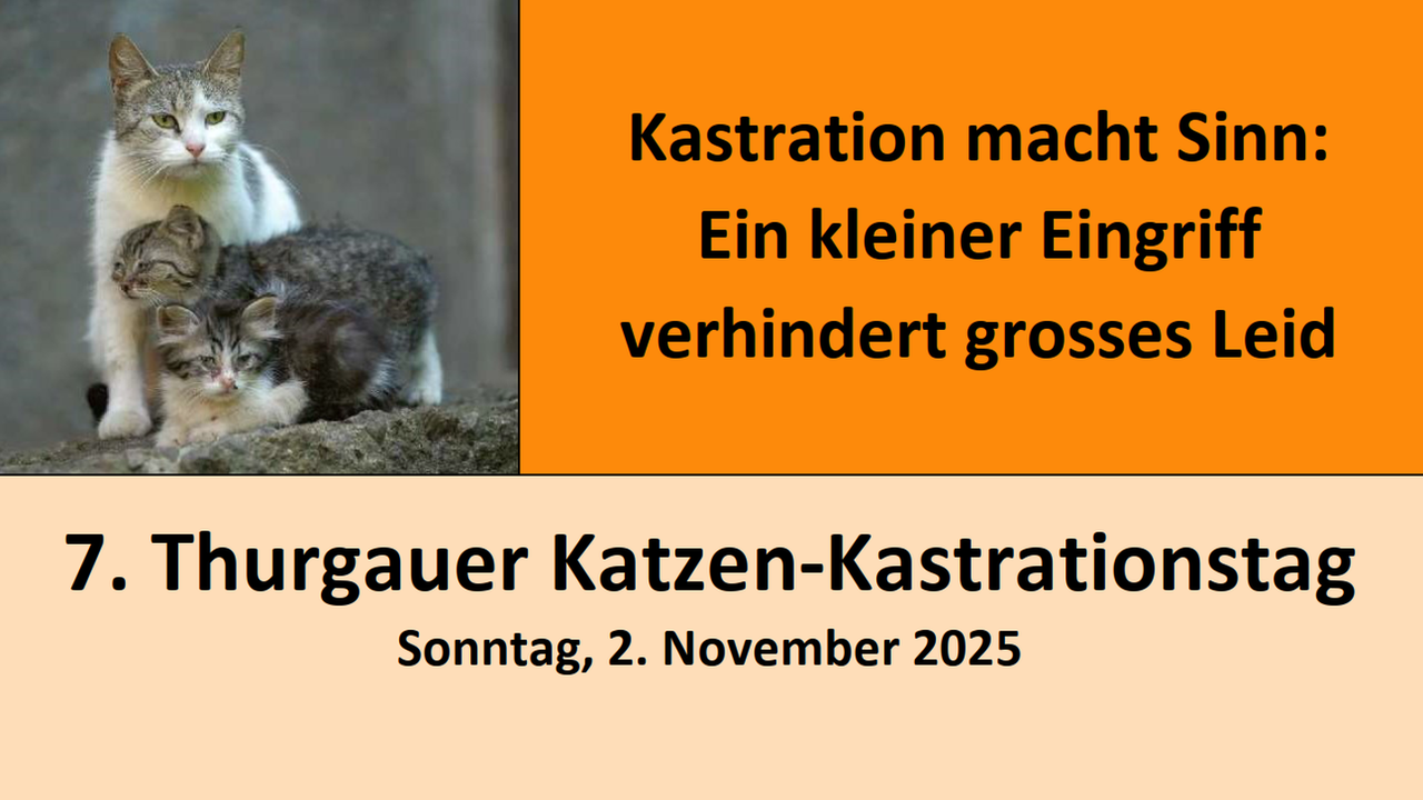 Thurgauer Katzen-Kastrationstag